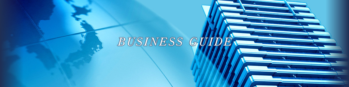 BUSINESS GUIDE